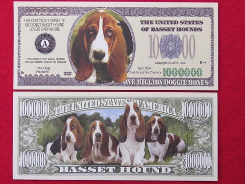 Billets basset hound - 4,