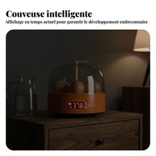 Mini D'œufs Gestion de