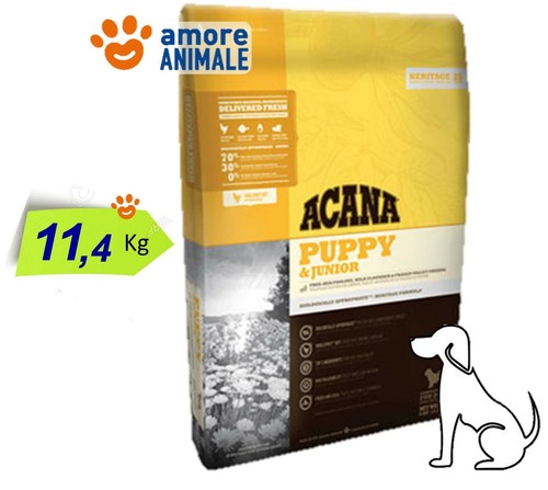 Acana chien puppy junior - chien, &