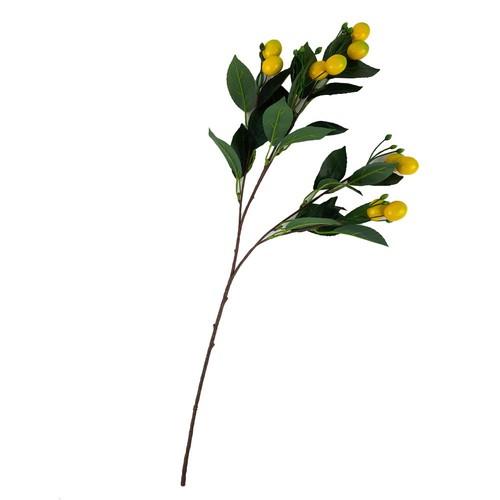 Citron branche décorative - branche,