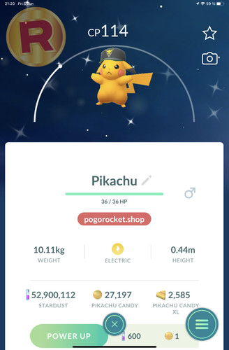 Shiny pikachu team - shiny,