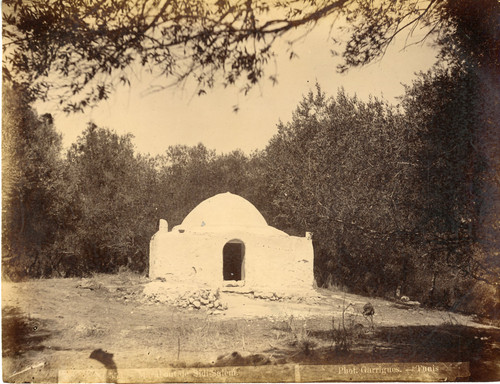 Garrigues tunisie - garrigues,,