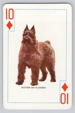 BOUVIER DES FLANDRES  Famous Dogs of the World Single Vintage Playing Card HK