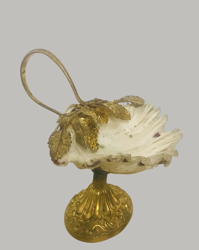 Coupe coquillage raisin vigne