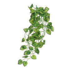  Décor De Reptile Terrarium