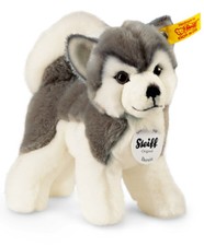 Steiff 'Bernie' Husky Chien -