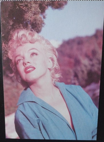 Marylin monroe 1954 - ,