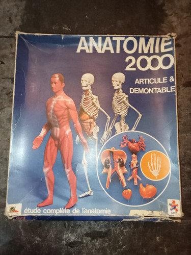 Jeu éducatif anatomie 2000 - anatomie,