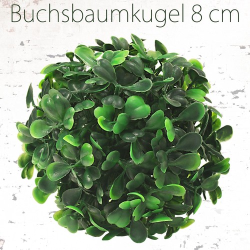 Buis boule plante - boule, de