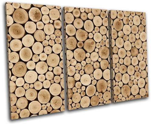Teak wood log - log, nature