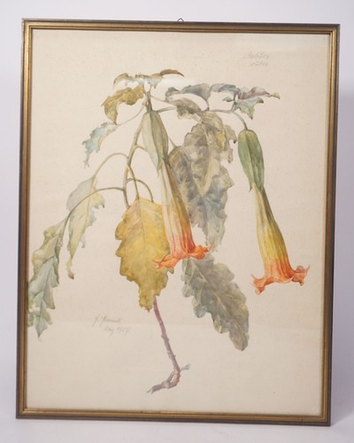 Ancien tableau botanique - tableau,