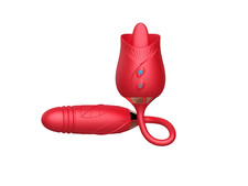 Vibromasseur Femme Clitoris &