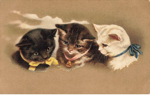 Chats chat fg35109 - chats, #fg35109