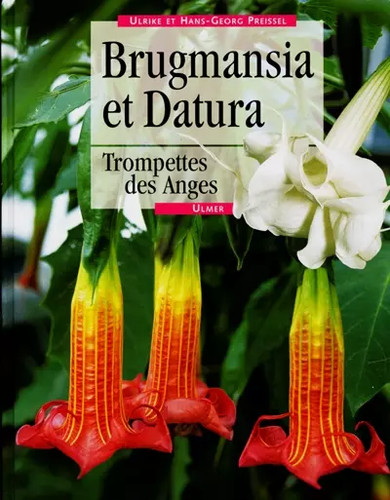 Brugmansia datura - brugmansia, et