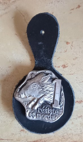 Insigne belge chasseurs - belge,