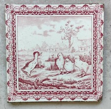 Ancien Carreau Carrelage