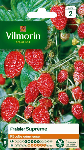 Graines fraisier saisons - 4,