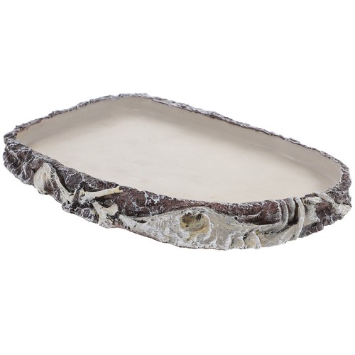 Accessoires pour terrarium bol - pour,