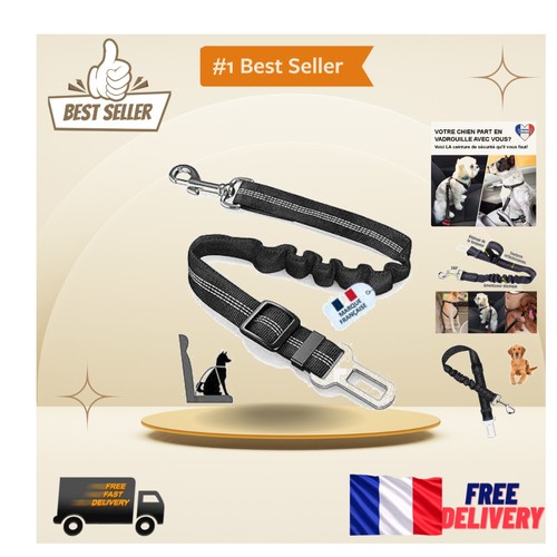 Ceinture sécurité chien - ceinture,