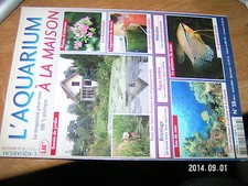 L'Aquarium à la maison n°38 Bassin jardin Kalanchoes Guppies Gourami perlé