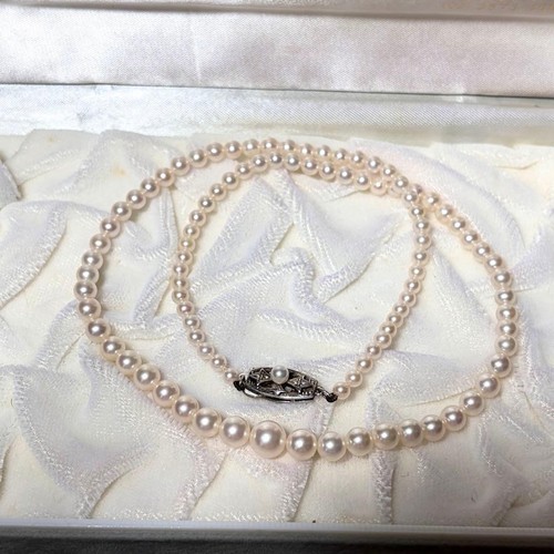 Mikimoto akoya baby pearl - akoya,