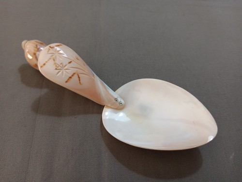 Grosse cuillère chausse pied - grosse,