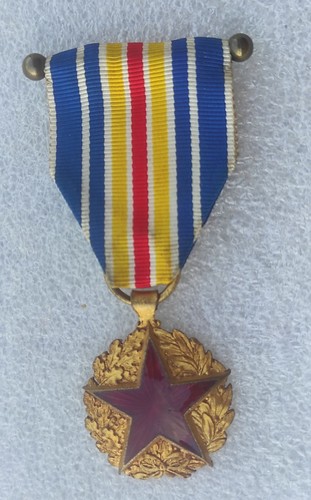 Medaille des blesses - medaille,