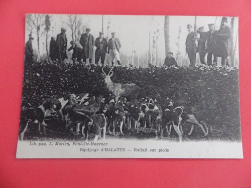 Carte postale ancienne chasse - postale,