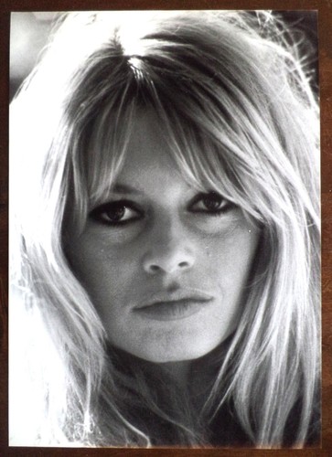 Photo portrait brigitte bardot - photo,
