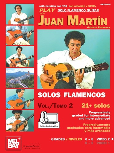 Play solo flamenco guitar - solo,