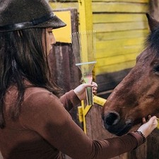Kit De Toilettage Pour Chevaux