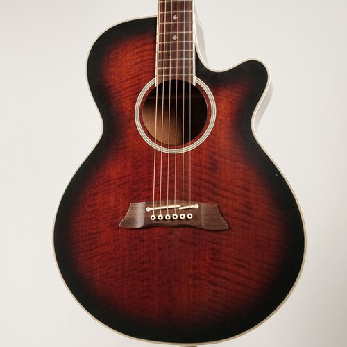 Takamine dsp 110 mod - dsp-110,
