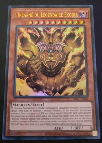 Carte yugioh incarne - l'incarne, du