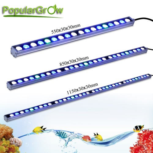 Led aquarium light - led,