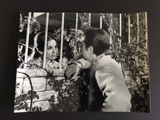 BOBBY SOLO - PHOTO DE PRESSE