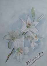 Aquarelle double face Fleurs