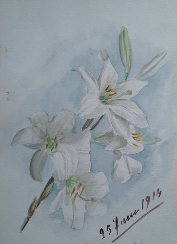 Aquarelle double face fleurs - aquarelle,