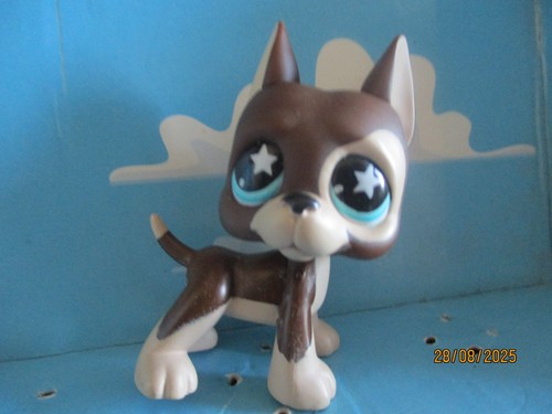 Petshop chien dogue argentin - petshop,