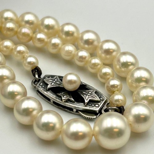 Mikimoto graduated pearl - graduated,