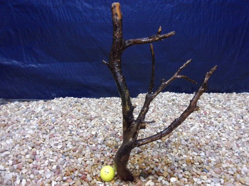 Medium driftwood x11 x04 - driftwood, 20"x11"x04"