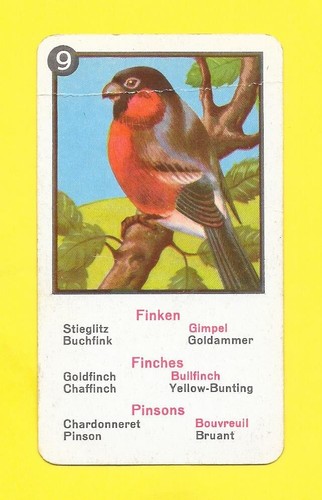 Carte allemande pinsons - pinsons,