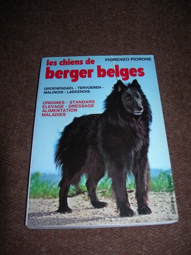 Chiens berger belges - chiens,