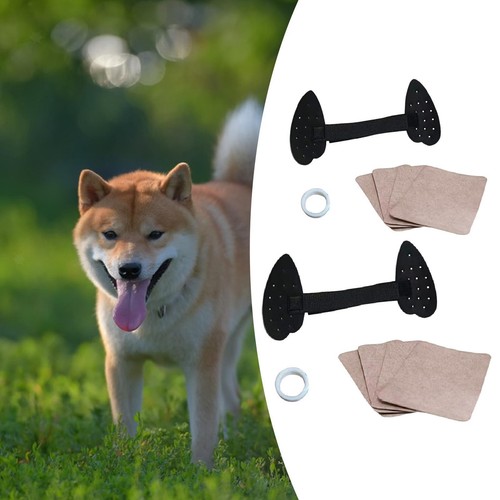 Support pour chiots - , berger