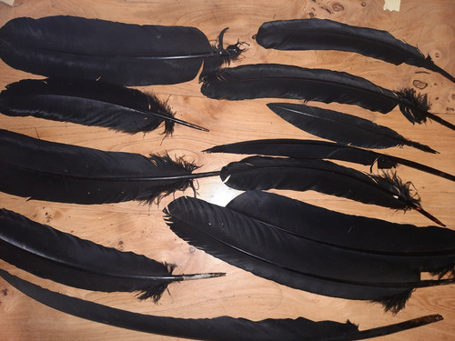 Lot anciennes plumes - 13,