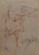 antique drawing human body anatomy medicine muscle skinned skeleton