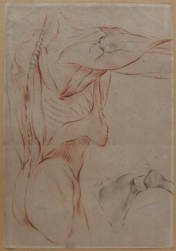 Dessin ancien corps humain - dessin,