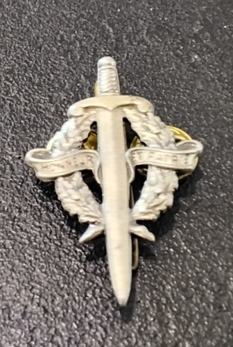 Insigne militaire brevet - insigne,