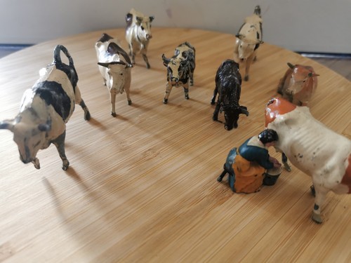 Animaux vaches taureaux - 6,
