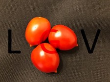 20 Graines de Tomates Cerises Piennolo del Vesuvio