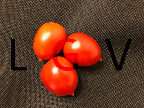 Graines tomates cerises - 20,
